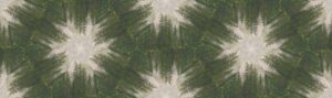 Hero banner image showing a kaleidoscope pattern of fir trees