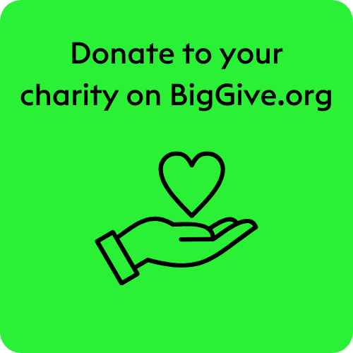Step 4: donate to your charity on BigGive.org